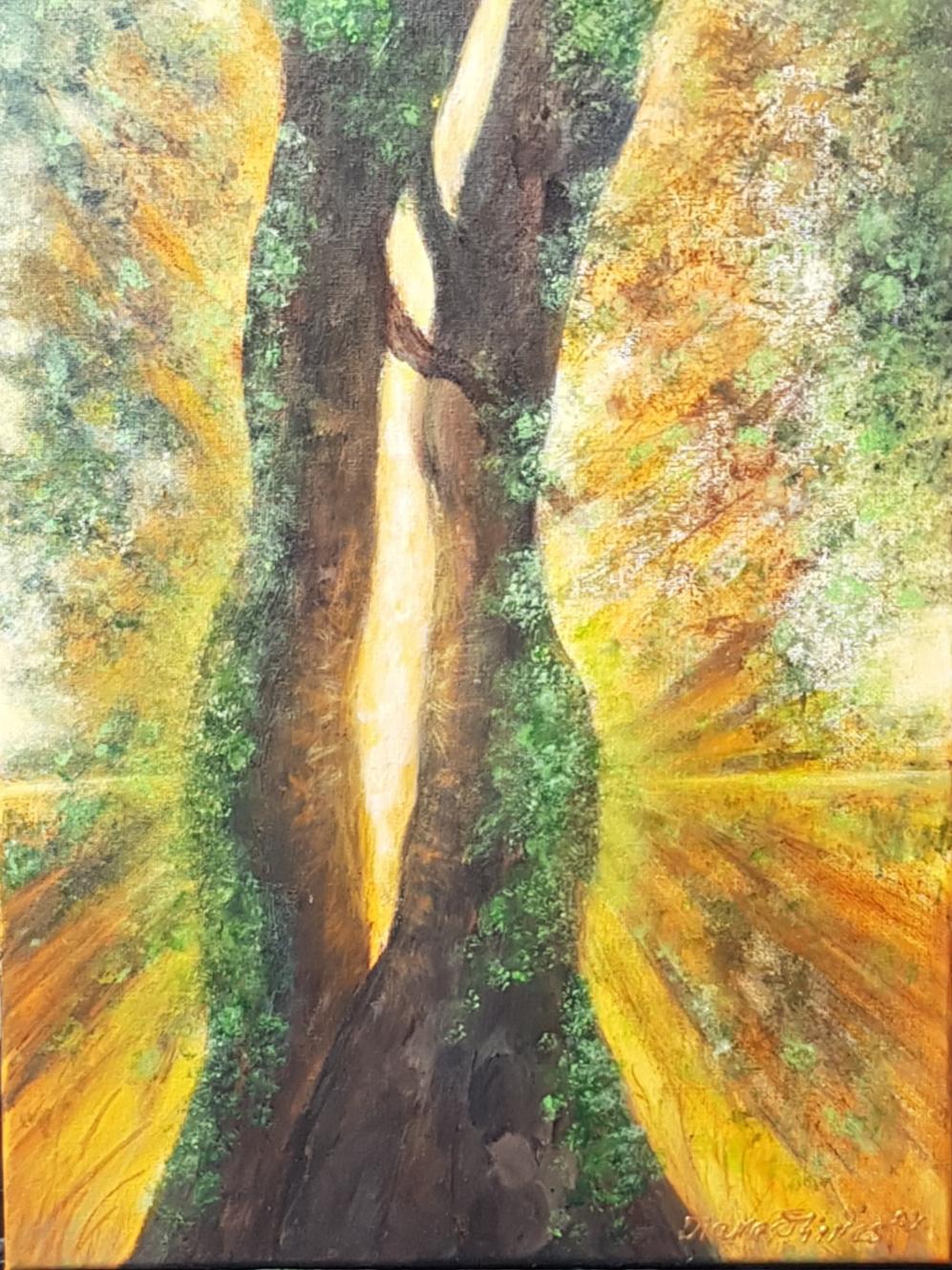 Любов без причина